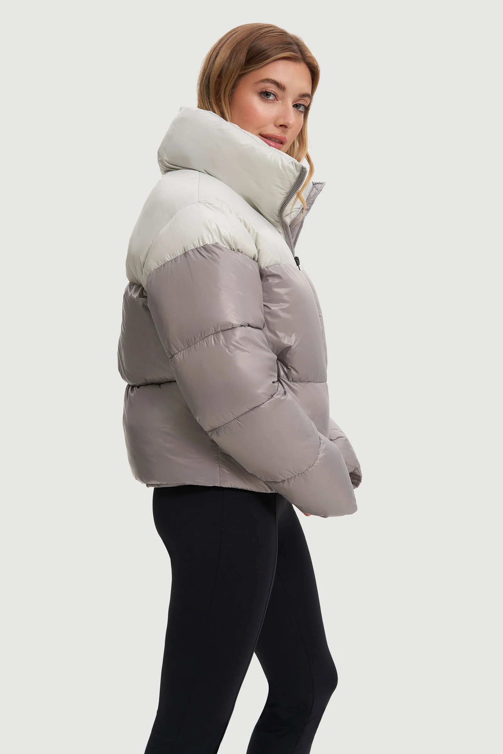 Lotte - Image 8