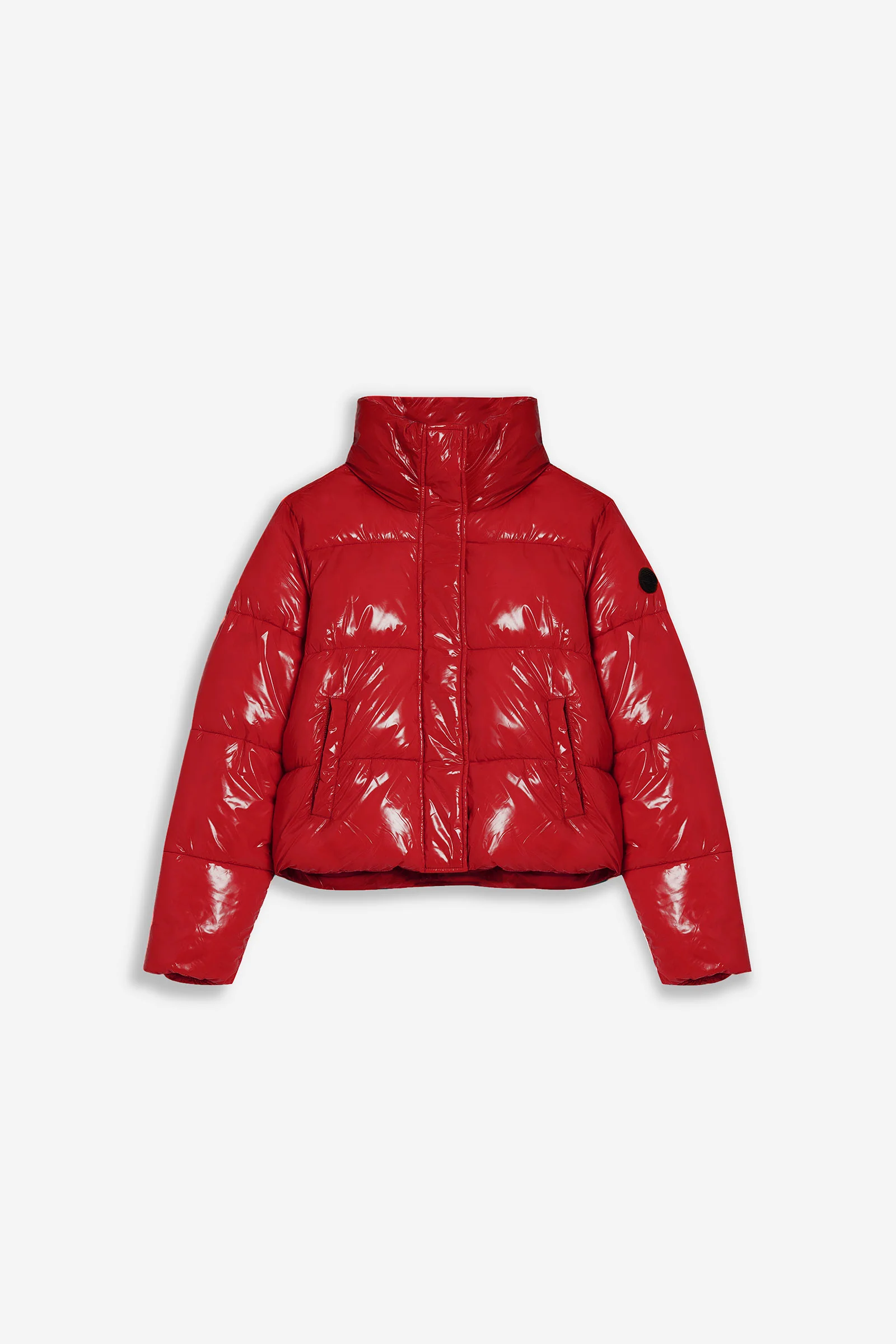 Coco - Image 16