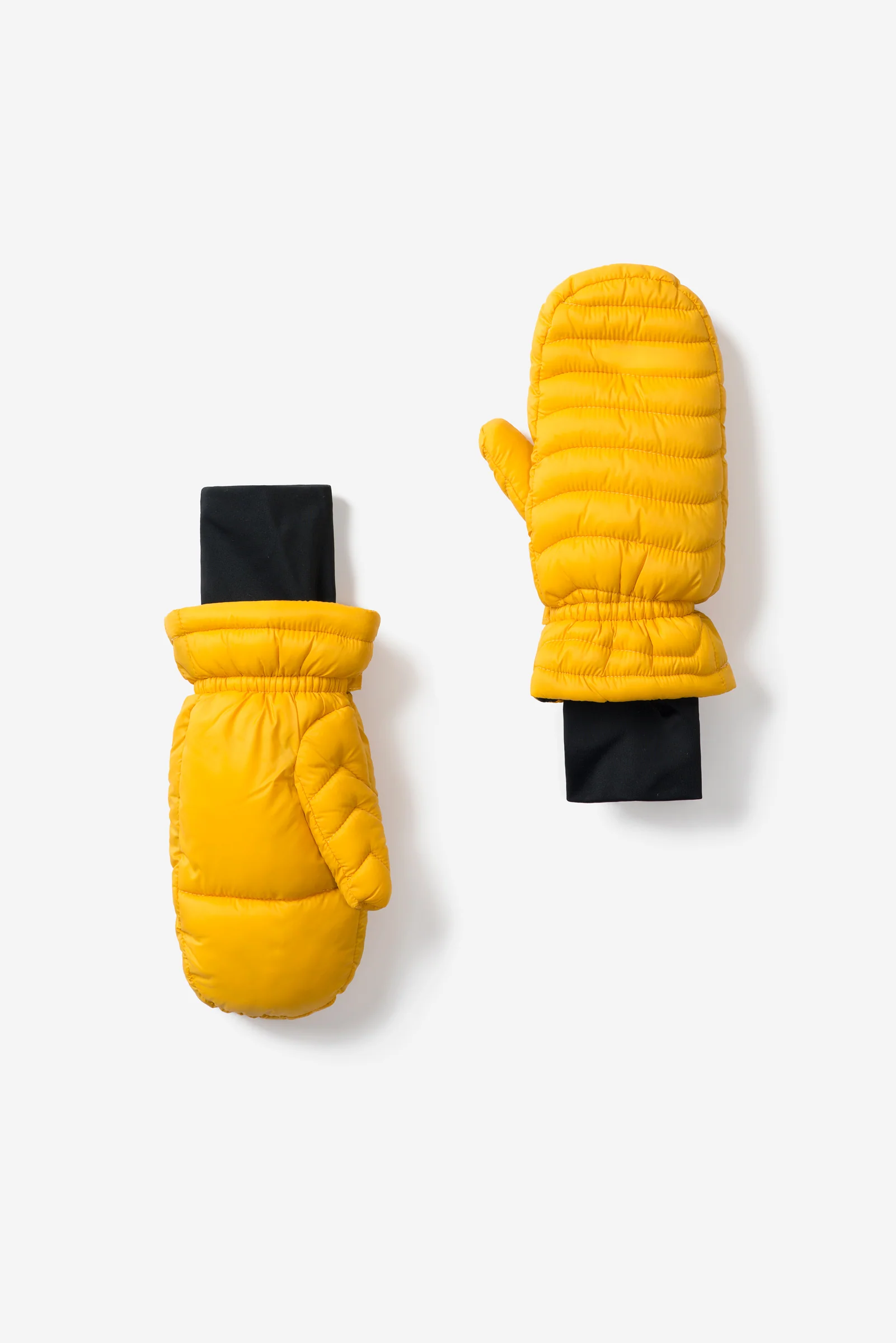 Elsa - Image 7